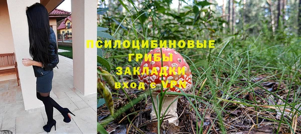 героин Богданович